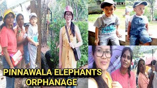 We went to Pinnawala Elephants Orphanage Enjoy much even though its raining  Pinay in Sri Lanka [upl. by Wickner]