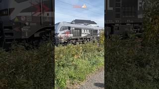 Ein Stadler Eurodual mit Containerzug fährt bei Schifferstadt Süd vorbei 🤩 likeandsubscribe [upl. by Gray691]