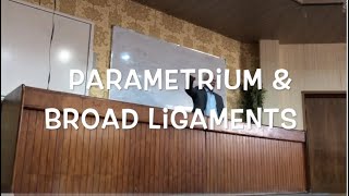 Anatomy broad ligament amp parametrium by Drsaad AlRawi [upl. by Platas356]