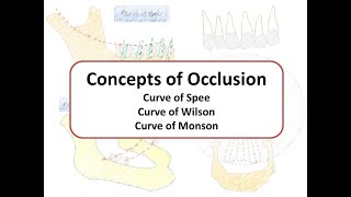 Concepts of Occlusion Curve of Spee Wilson amp Monson [upl. by Retswerb]