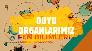 3sınıf fen duyu organlarımız [upl. by Morlee]