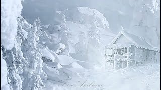 Howling blizzard amp Loud whistling of snow winds with very cold weather  Nature sound for relaxing [upl. by Jillayne]