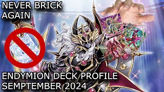 THE BEST ENDYMION DECK YOULL EVER SEE  ENDYMION DECK PROFILE SEMPTEMBER 2024 [upl. by Eiramlehcar566]