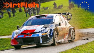 Best of WRC Central European Rally 2023  Crashes Action and Raw Sound [upl. by Kingsbury]