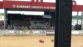 Elkhart County Fair  Dog vs Man [upl. by Brockie]