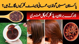 DARK BROWN HAIR DYE AT HOME HAIR DYE IN 10 MIN 100ORGANIC HAIR DYE AMAZING RESULT [upl. by Nikaniki]