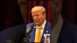 Joe Rogan Experience 2219  Donald Trump [upl. by Eatnad]