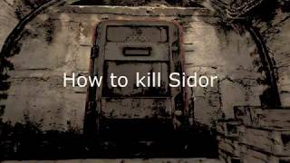 STALKER  How to kill Sidorovich and the barman [upl. by Ibrad]