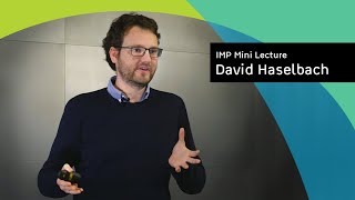 IMP Mini Lectures  David Haselbach To degrade or not to degrade [upl. by Tuneberg]