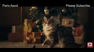 Waitrose Christmas Advert 2024 Sweet Suspicion A Waitrose Mystery PLEASE SUBSCRIBE Paris Ascot [upl. by Adym414]