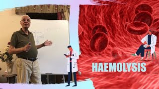 HAEMOLYSIS  DR HOSSAM MOWAFY PART 1 [upl. by Scarlet]