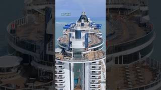 Cruise News 1500 Cruise Passengers Stranded [upl. by Poliard]