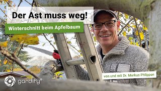 Winterschnitt beim Apfelbaum Wenn starke Schnittmaßnahmen anstehen schneidet man im Winter Gardify [upl. by Busch]