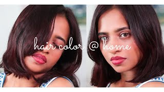 Loreal Paris Casting Creme Gloss 550 Mahogany I Hair Color  Home For Beginners [upl. by Rudelson]