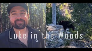 4 Days Solo Camping  BEAR ENCOUNTER river crossings [upl. by Shulock509]