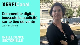 Comment le digital bouscule la publicité sur le lieu de vente Anne Césard [upl. by Schulman]