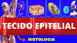 TECIDO EPITELIAL  HISTOLOGIA ENSINO SUPERIOR  TECIDO EPITELIAL DE REVESTIMENTO [upl. by Arbua]