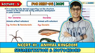 Lec 5 Segmentation amp Notochord Animal Kingdom Class 11 NEET 2024 [upl. by Ellenuahs821]