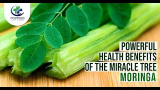 Health Benefits Of Moringa  Surprising Health Benefits Of Moringa Leaves [upl. by Inittirb]