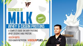 Whey Protein Manufacturing Process What Isolate Concentrate Hydrolysate and Casein  Vigourfuel [upl. by Nosmas]