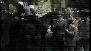 1975  Ruffian vs Foolish Pleasure  The Great Match Race CBS Sports  Part II [upl. by Ennaitsirhc]