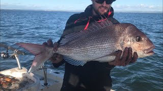 Westernport Snapper fishing October 2020 [upl. by Nnaeilsel]