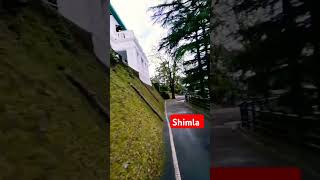 Shimla  green city  Shimla [upl. by Arorua]