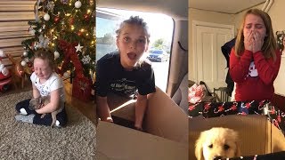 Best New Puppy Surprise For Kids  Try Not To Cry [upl. by Hocker987]