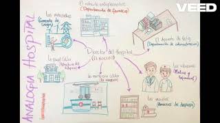 Funciones de las organelas celulares y su analogía hospitalaria [upl. by Eitteb]