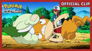 Scraggy and Cottonee  Pokémon Black amp White  Official Clip [upl. by Kcirdez]