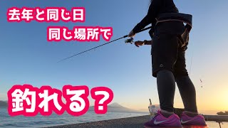 【釣り】沼津釣り旅1日目！遠投サビキで去年と同じ日、同じ場所で何が釣れる？【駿河湾】 [upl. by Rebbecca]