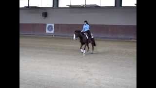 Gara di REINING  Gaia Santini amp CHARMING ICE [upl. by Maxma]