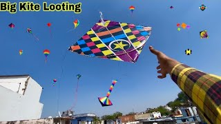 Kite looting 🪁  patang loot li bhot saari 😎 kite catching  kite looting  kite flying  kite [upl. by Amadeo]