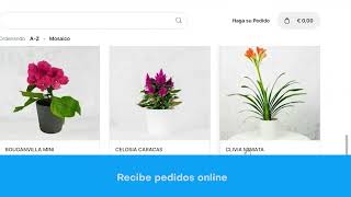 ¡Crea tu Catalogo Digital gratis  Nextar [upl. by Trebron]