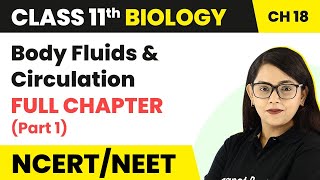 Class 11 Biology Chapter 18  Body Fluids And Circulation Full Chapter Explanation Part 1 [upl. by Drarreg]