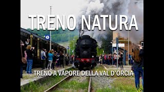 Treno Natura Val DOrcia [upl. by Lainahtan]