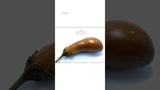 30 Day in 30 second  Timelapse eggplant timelapse eggplant [upl. by Dnumyar74]