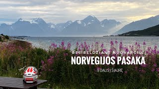 Į ŠIAURĘ Nordkapp 9 dalis Besibeldžiant nuovargiui Norvegijos pasakoje [upl. by Enirahtac]