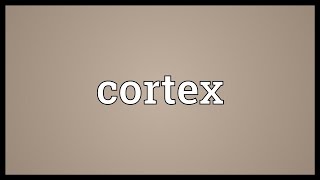 Cortex Meaning [upl. by Lowry]