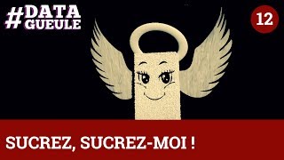 Sucrez sucrez moi   DATAGUEULE 12 [upl. by Laemaj]