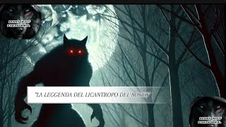 quotLA STORIA DEL LICANTROPO DEL BOSCOquot video horrorstories viralvideo [upl. by Tobie]