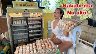 Unang Kinita ko sa Pagbenta nang Fertile Eggs nang Rhode Island Daming Orders [upl. by Hgielrebma139]