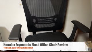 Homdox Ergonomic Mesh Office Chair Review [upl. by Eilujna]