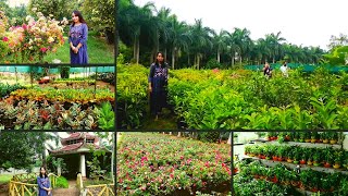 Best Nursery in Vizag  CMR nursary  Jhansis Good Life  Vlog [upl. by Eerb565]