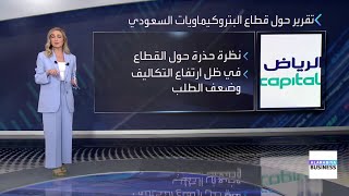 كيف تنظر الرياض المالية إلى تقييمات قطاع البتروكيماويات الحالية؟ [upl. by Aicats200]