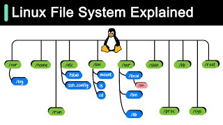 Linux File System Explained [upl. by Paule]