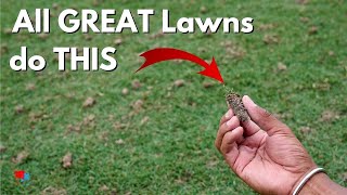 How to Aerate Your Lawn to Get Ahead of the Competition [upl. by Tim499]