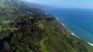 A breathtaking tree house hotel in Big Sur California [upl. by Eiknarf761]