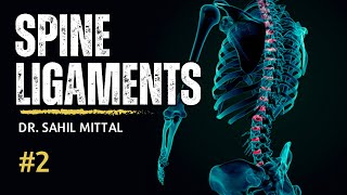 Spinal Cord Ligaments  Biomechanics of Spine 2  Hindi Lecture  Dr Sahil Mittal [upl. by Acinnod430]