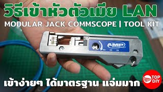 วิธีเข้าหัวสายแลนตัวเมีย LAN AMPCOMMSCOPE Modular Jack ด้วยเครื่องมือมาตรฐาน ดูเสร็จทำตามได้แน่นอน [upl. by Arianna823]